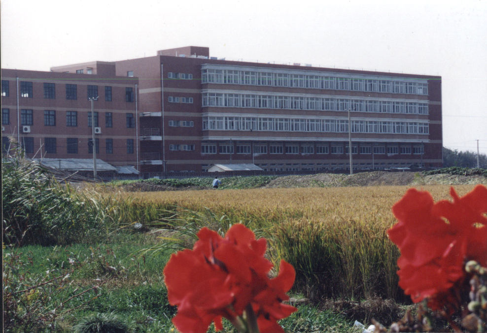 SWScan00023.bmp