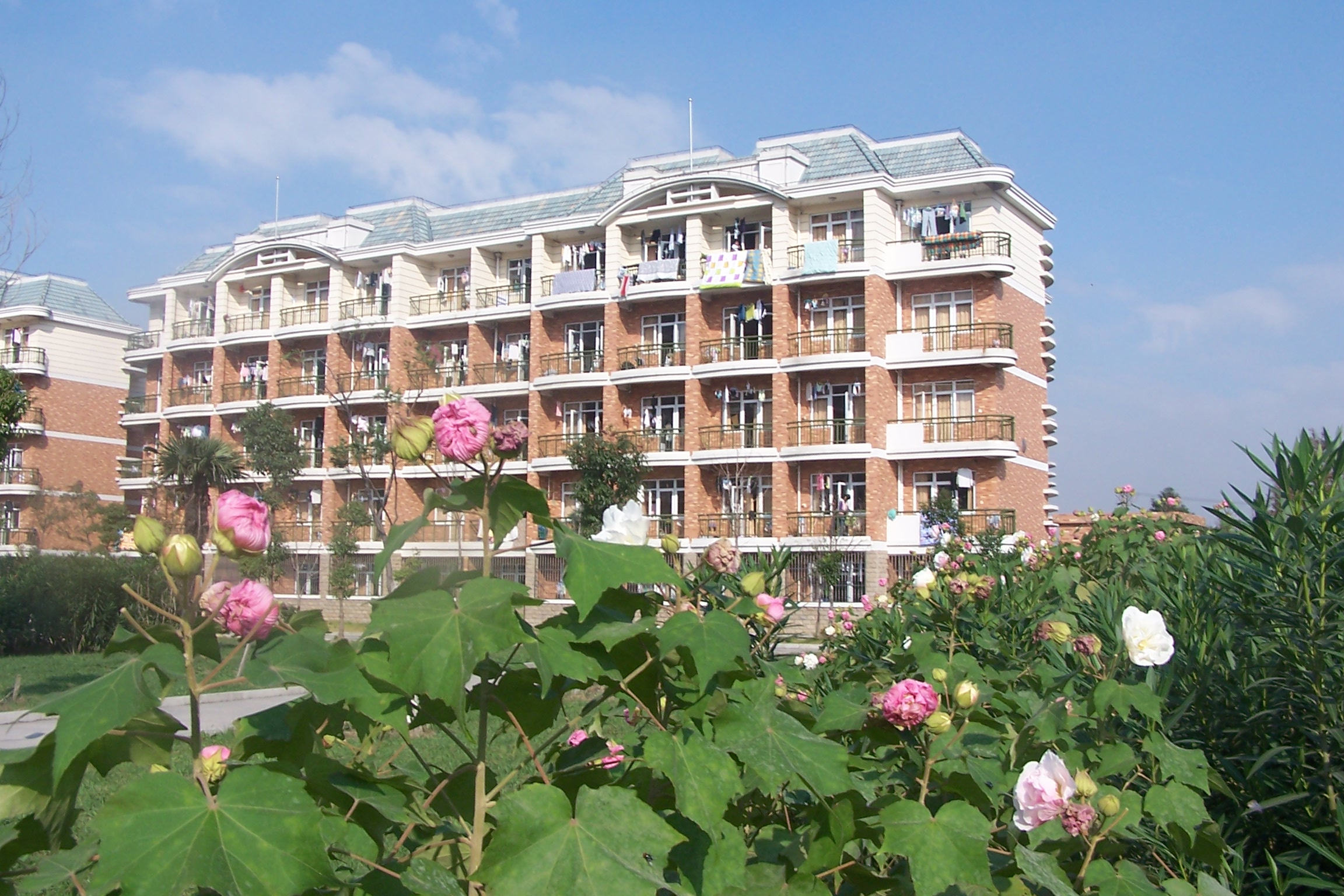 a 013.jpg